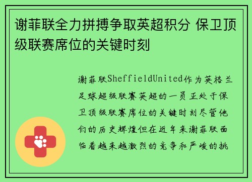 谢菲联全力拼搏争取英超积分 保卫顶级联赛席位的关键时刻