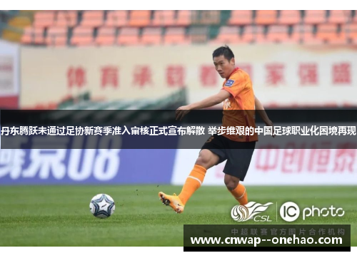 丹东腾跃未通过足协新赛季准入审核正式宣布解散 举步维艰的中国足球职业化困境再现