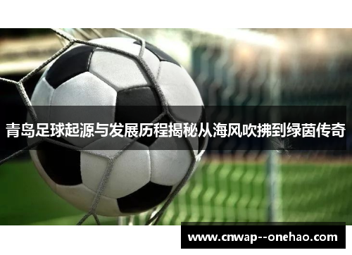 青岛足球起源与发展历程揭秘从海风吹拂到绿茵传奇