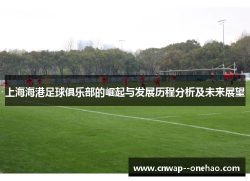 上海海港足球俱乐部的崛起与发展历程分析及未来展望